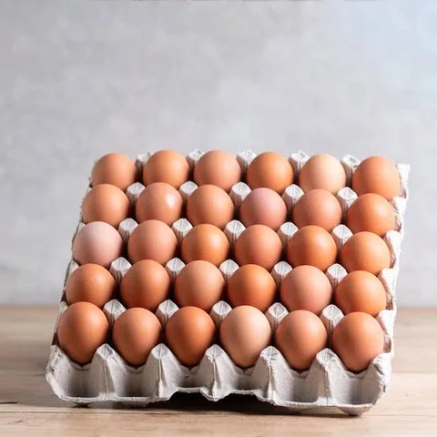 eggs