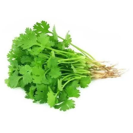 dania/coriander