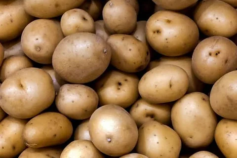 POTATOES