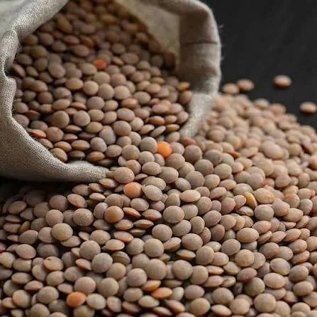 lentil/ kamande