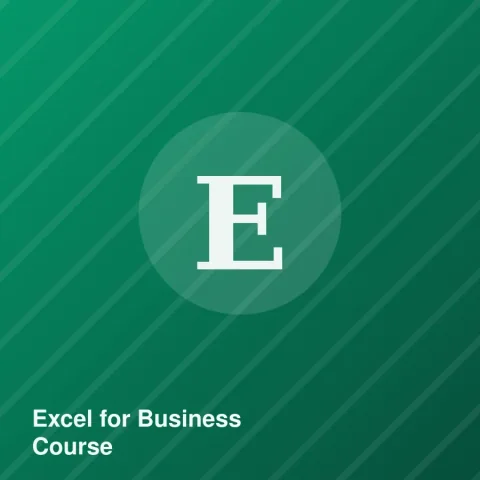 Excel for Business Course