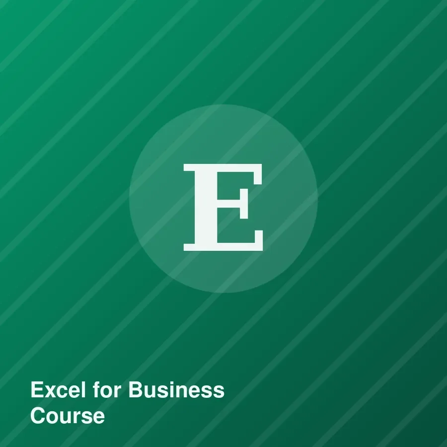 Excel for Business Course