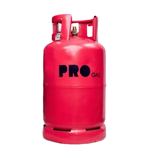 13kg Progas New