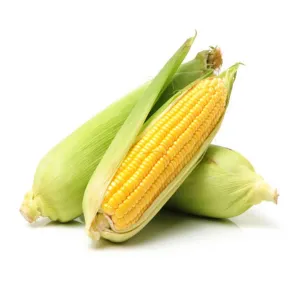 Maize 1Pc in Ongata Rongai on Shops in Kenya